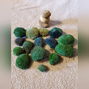 Home Decor Natural Moss Natural dyes Fairy Garden